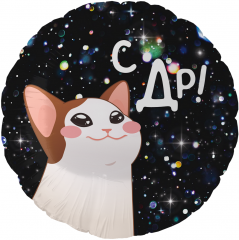 Шар (18''/46 см) Круг, С ДР! (котик), 1 шт.